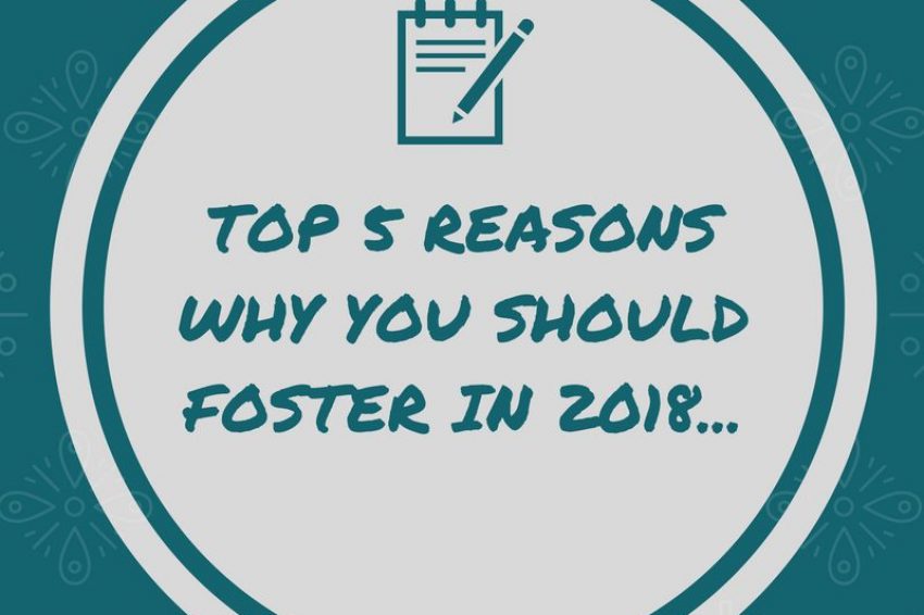 Reasons to foster a child in 2018 - DMR Fostering Services